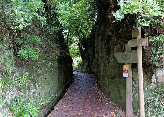 Oudinot By Mercado Dos Lavradores Com Ac * Funchal (Madeira)
