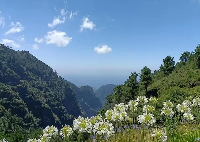 Appartamento Oudinot By Mercado Dos Lavradores Com Ac Funchal (Madeira)