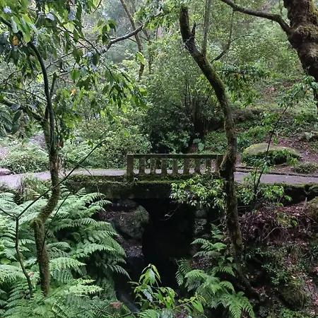 Oudinot * Funchal (Madeira)