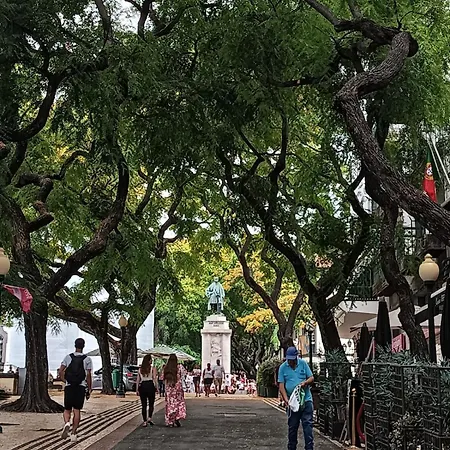 Oudinot Apartamento Funchal (Madeira)