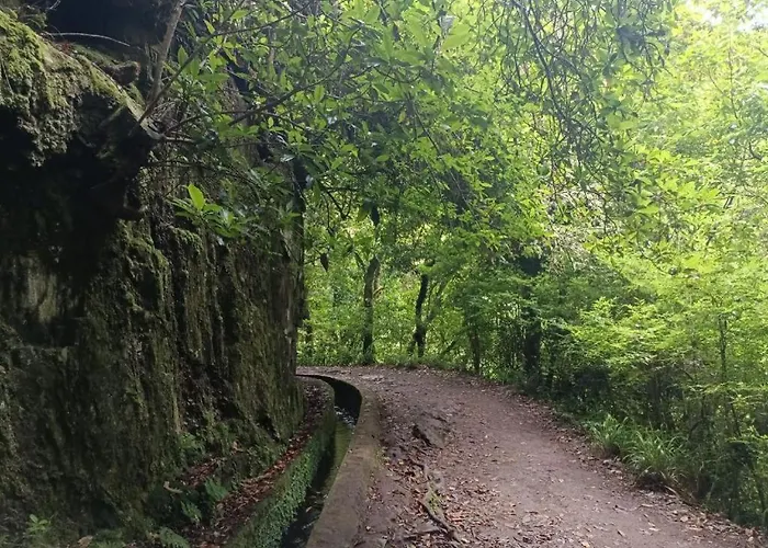 Appartamento Oudinot By Mercado Dos Lavradores Com Ac